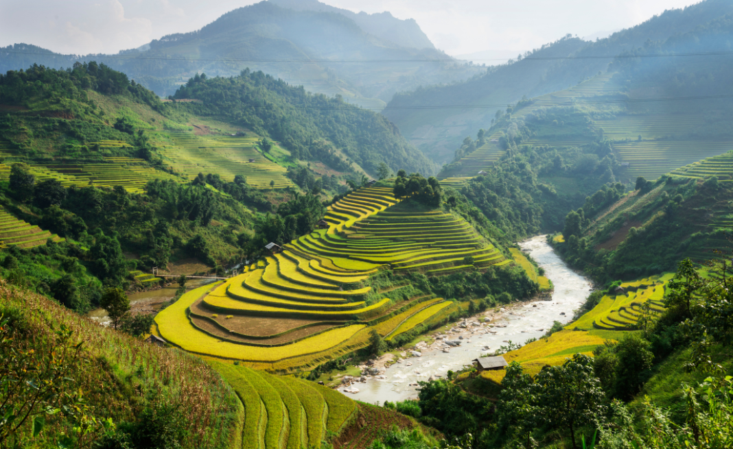 Đổi mới sáng tạo tỉnh, thành - Provincial innovation