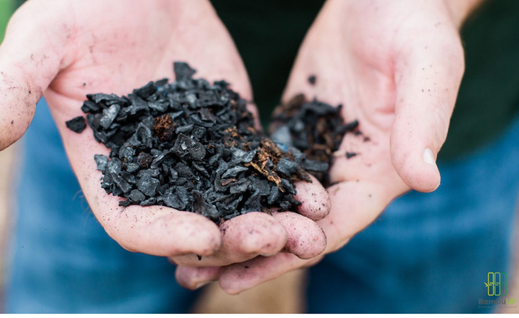 Than sinh học biochar có khả năng ‘khóa’ carbon trong một thời gian rất dài