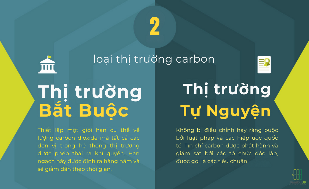 Các loại thị trường chứng chỉ carbon hiện nay