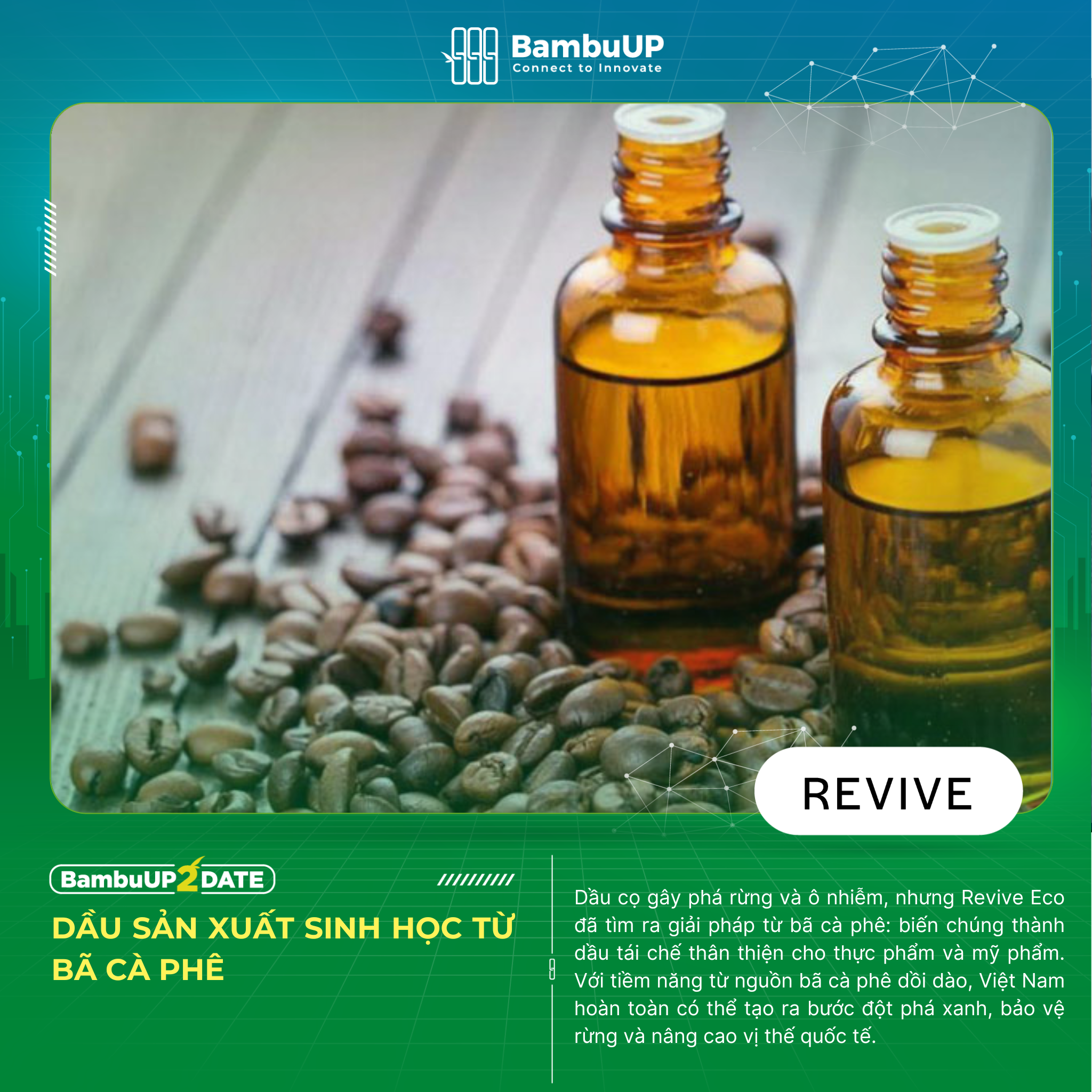 Revive Eco: Startup Tái Chế Bã Cà Phê, Giải Pháp Bền Vững Giảm Thiểu Tác Động Môi Trường Từ Dầu Cọ