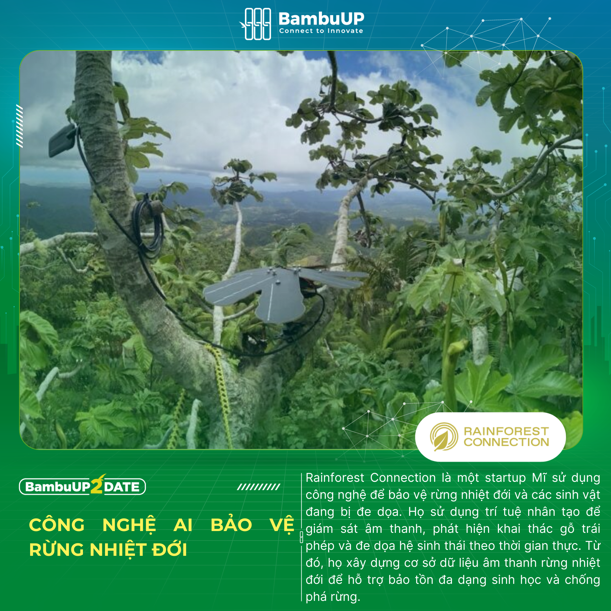 Công nghệ AI bảo vệ rừng nhiệt đới
