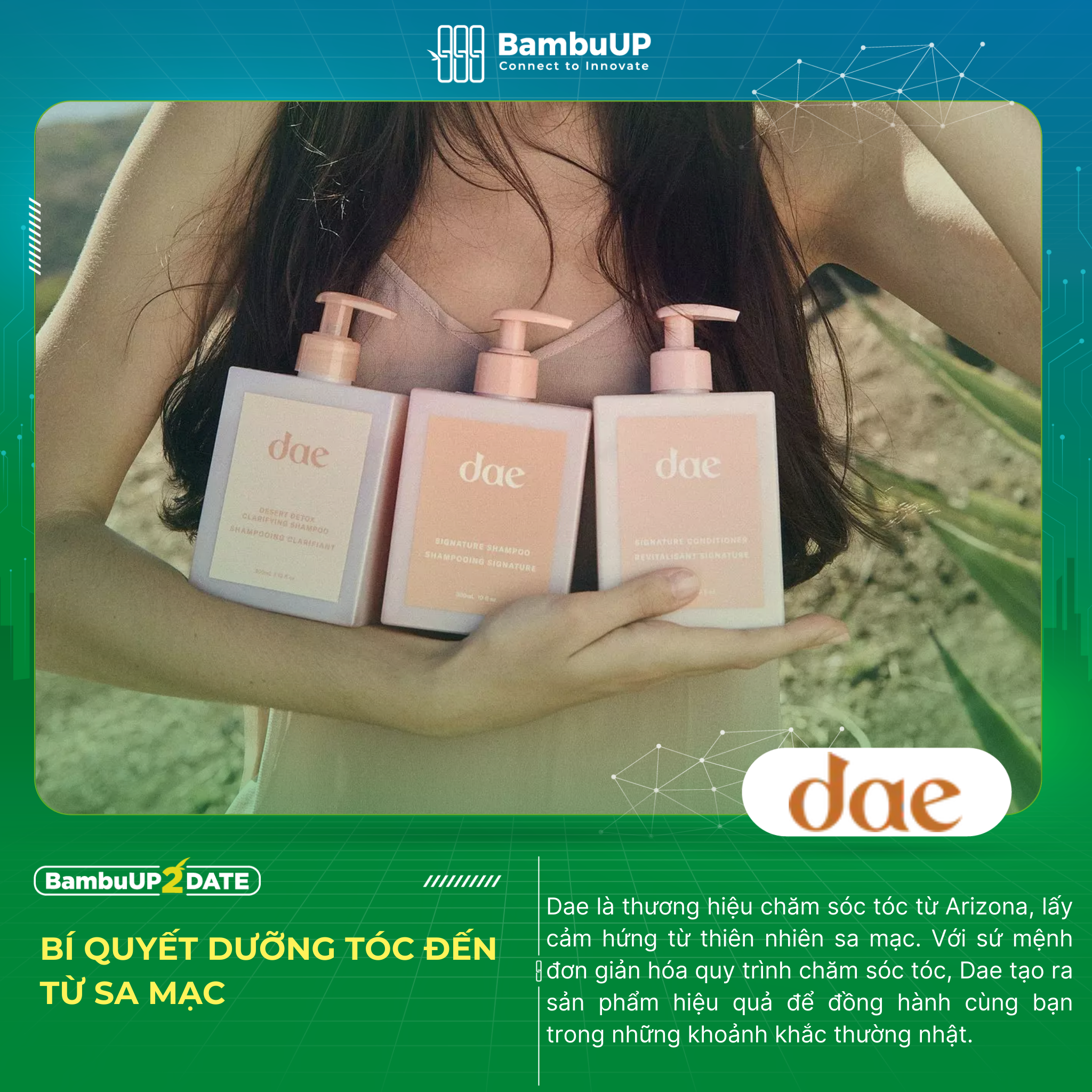 Dae Hair - Chăm sóc tóc bằng các thành phần thiên nhiên sa mạc
