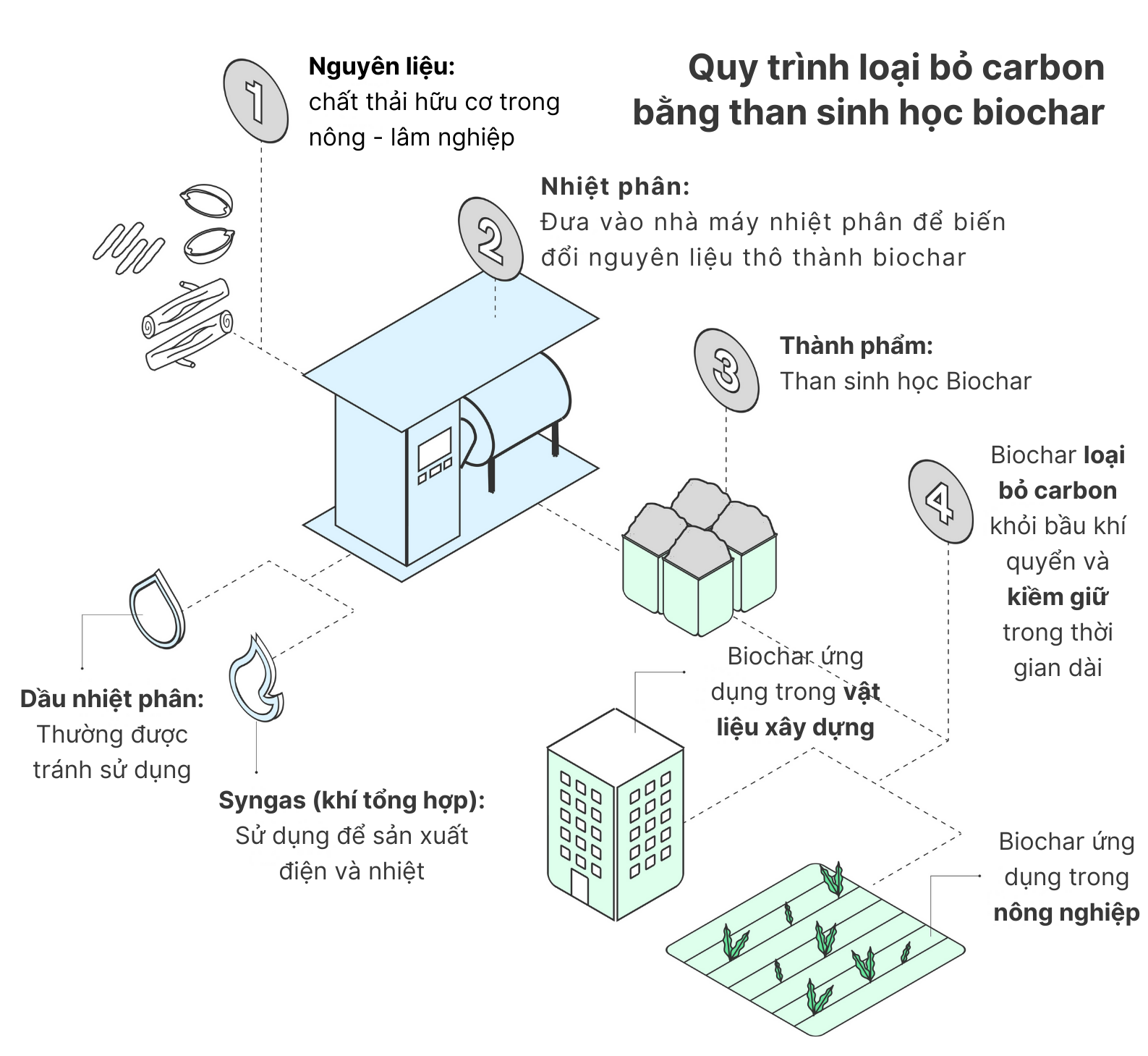 Quy trình sử dụng biochar để loại bỏ carbon 