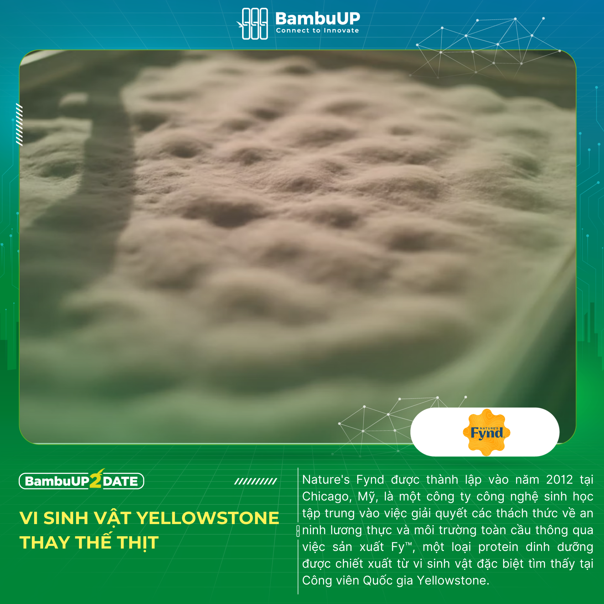 Nature’s Fynd - Lên men vi sinh vật từ công viên Yellowstone tạo ra protein