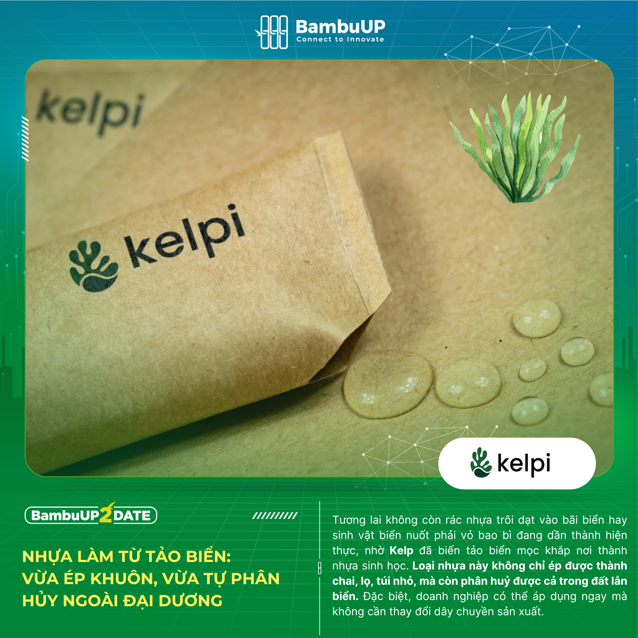 Kelpi