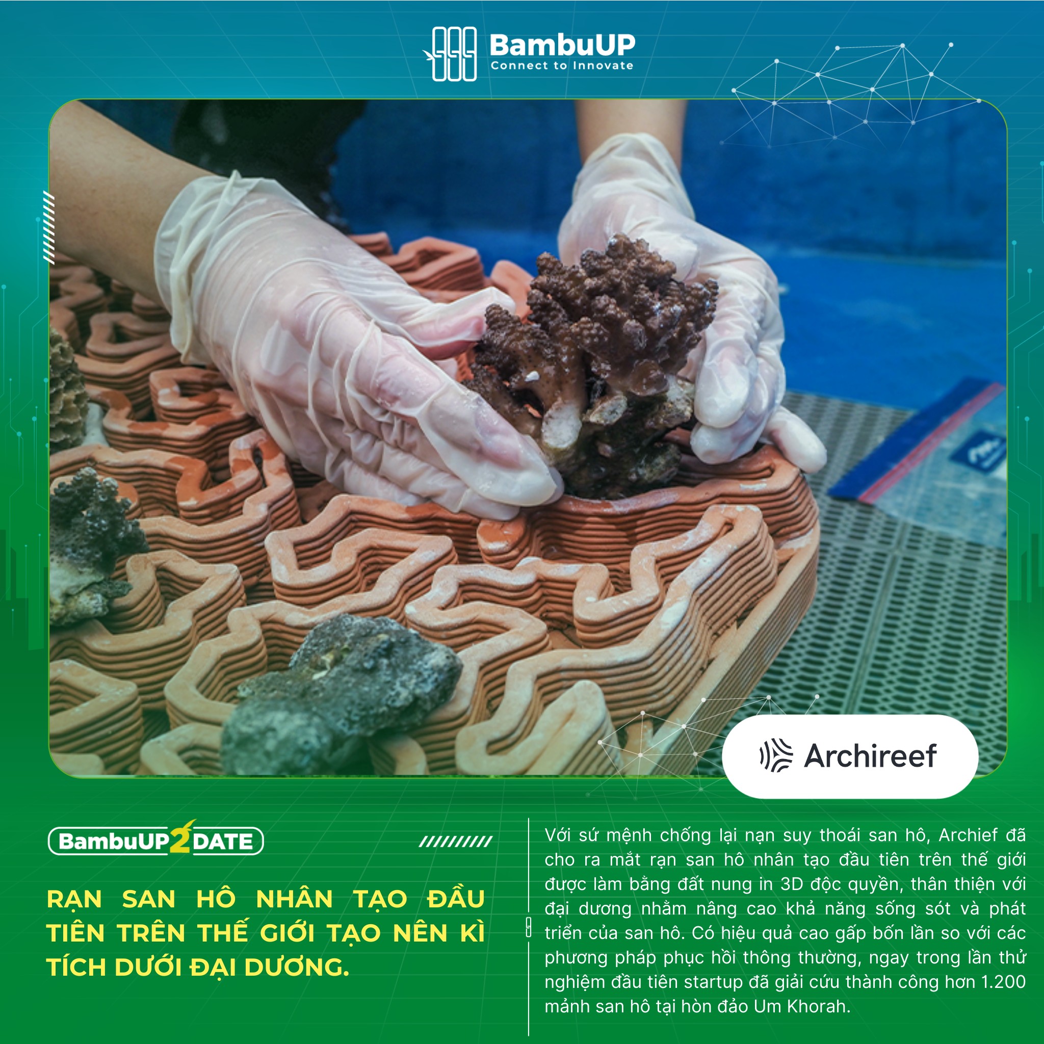 BambuUP Innovation of the Week