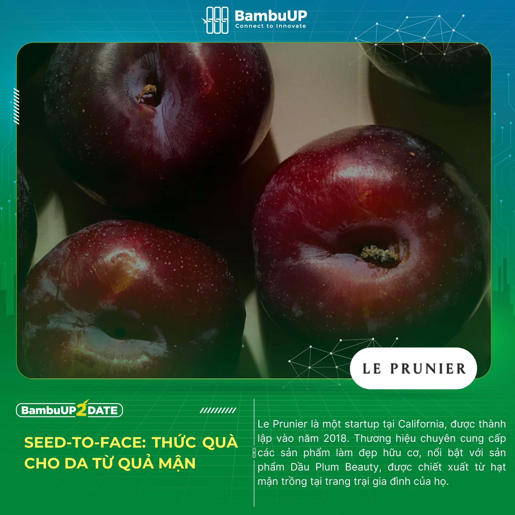 Le Prunier: Khai thác tiềm năng làm đẹp của quả mận