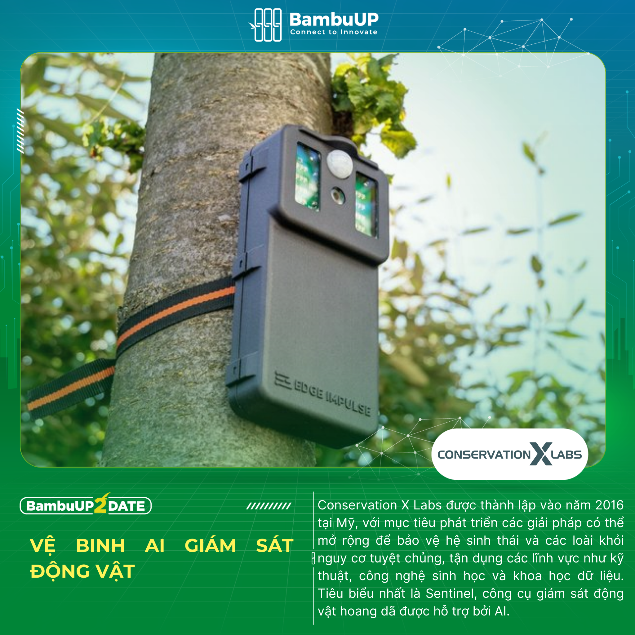 Conservation X Labs - Công nghệ tiên tiến để giám sát động vật