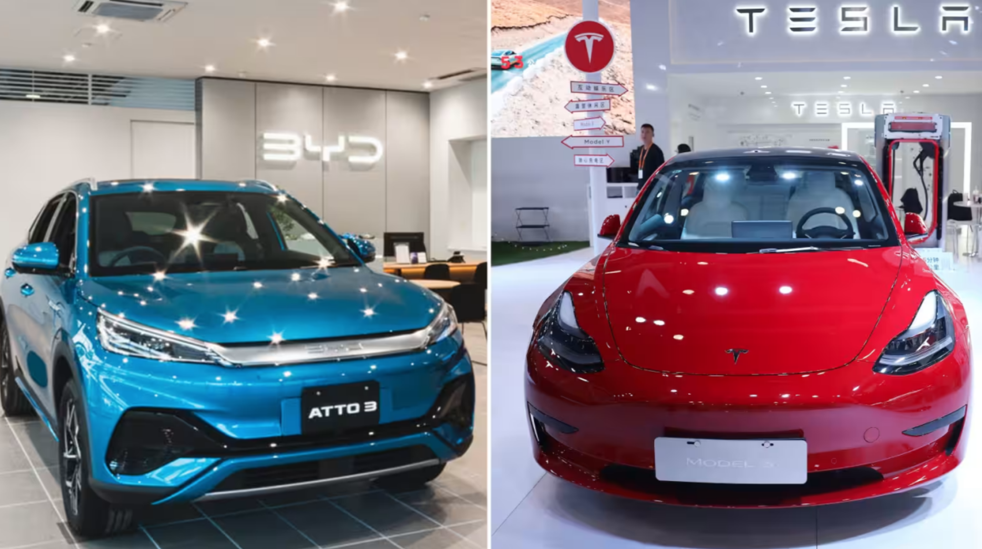 Xe điện BYD và Tesla
