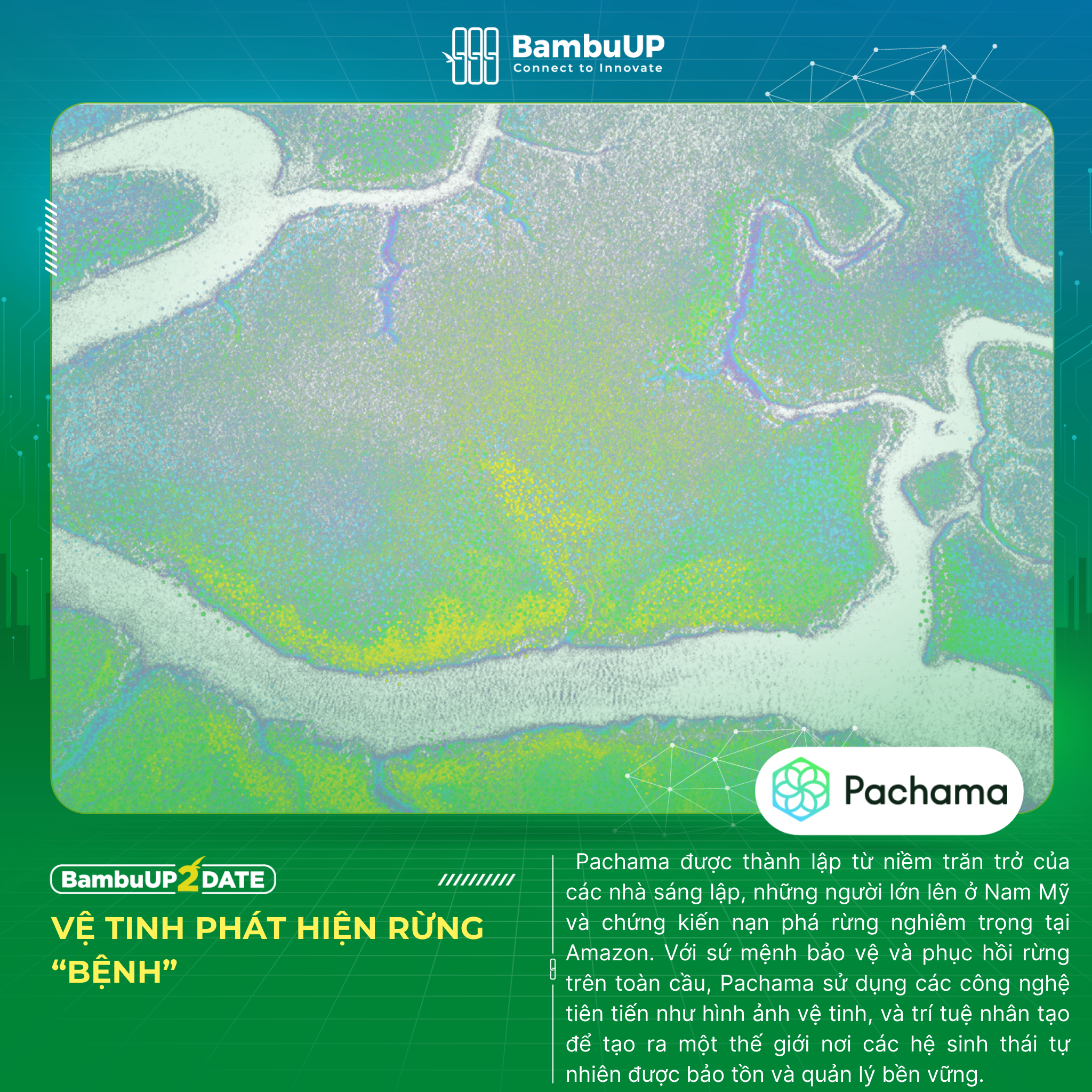 Pachama: Công nghệ ngăn chặn rừng suy thoái