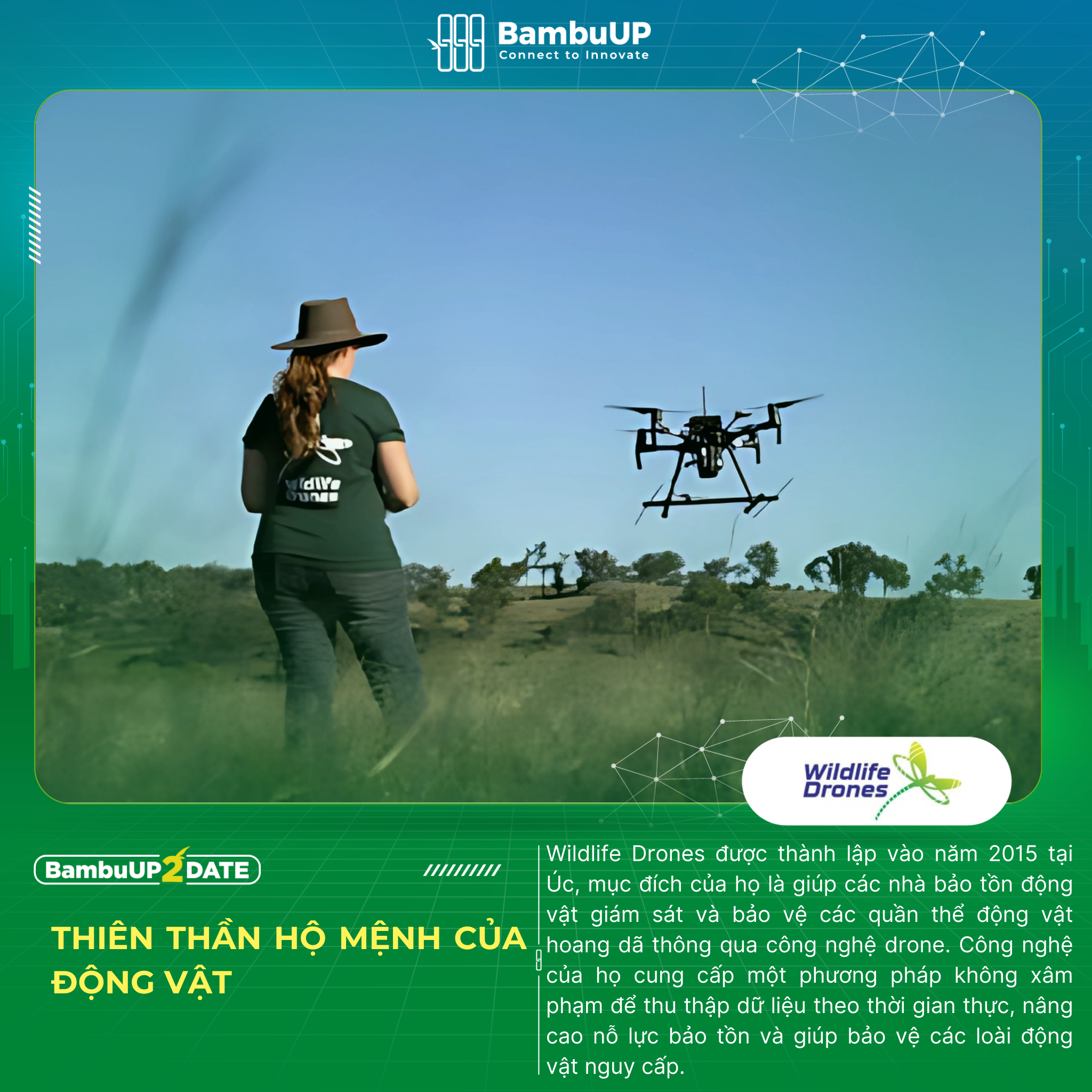  Wildlife Drones -  Cùng drone bảo vệ các loài nguy cấp