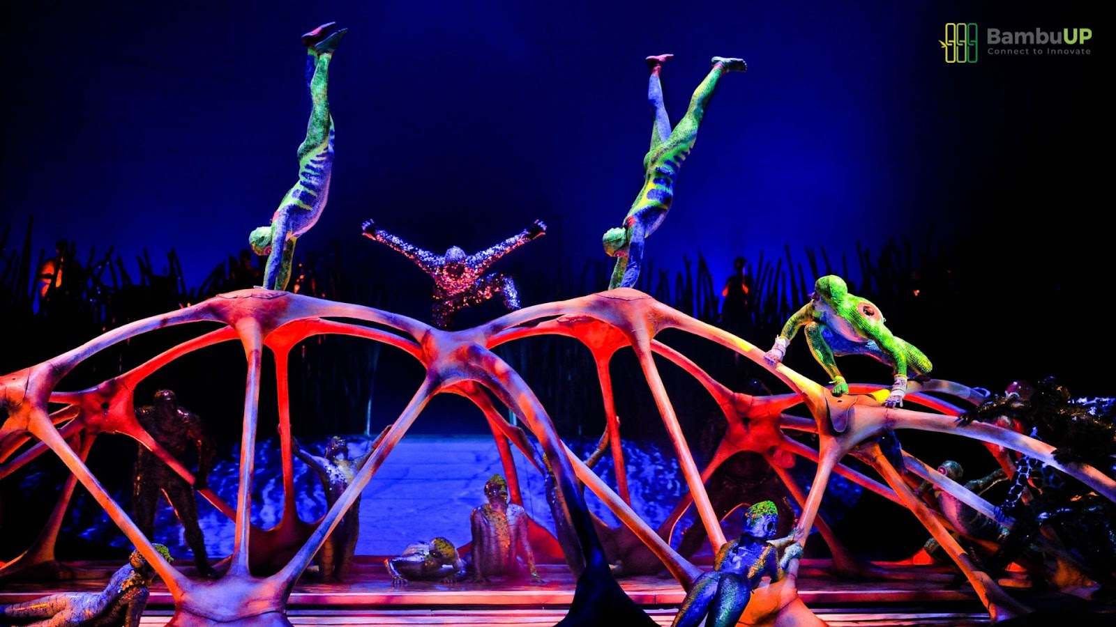 Cirque du Soleil đã tiên phong thay đổi ngành xiếc truyền thống