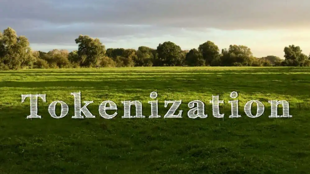 Ứng phó với đền bù rủi ro do biến đổi khí hậu với Geospatial AI & Tài chính chuyển đổi